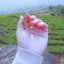 Dương to